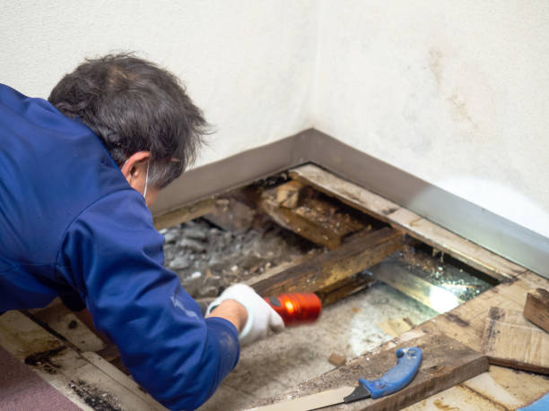 Best Water Damage Restoration  in Port Monmouth, NJ