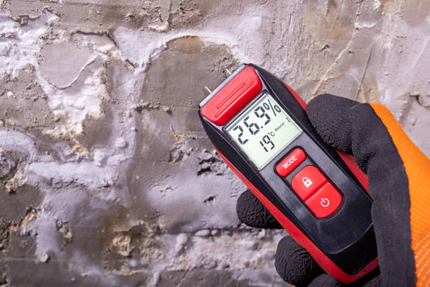 Best Office Mold Removal Services  in Port Monmouth, NJ